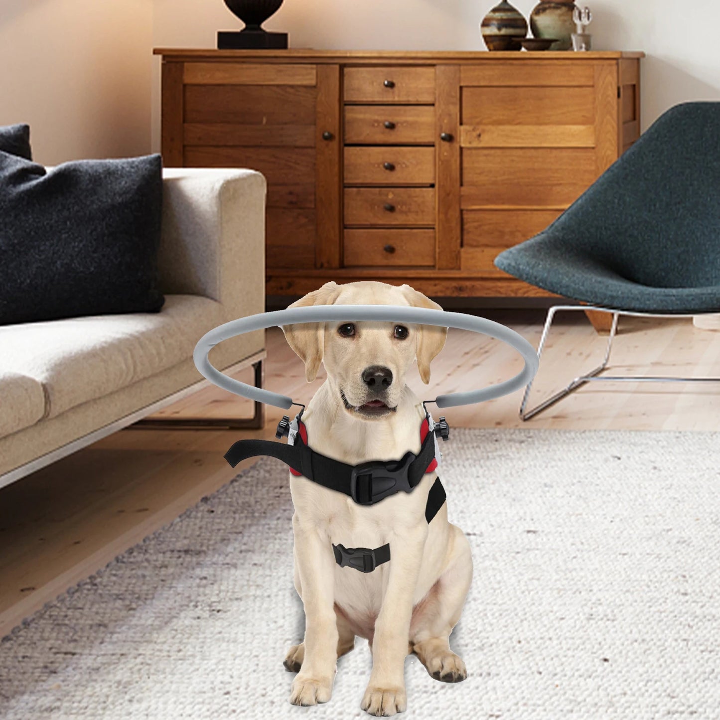 Blind Dog Halo Harness- Anti-Collision Blind Halo Ring for 11"-20"- Small and Medium Visually Impaired Pets