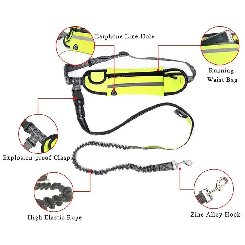 Hands Free Dog Leash with Zipper Pouch- Reflective Bungee for Medium Dogs- Walking Jogging and Running
