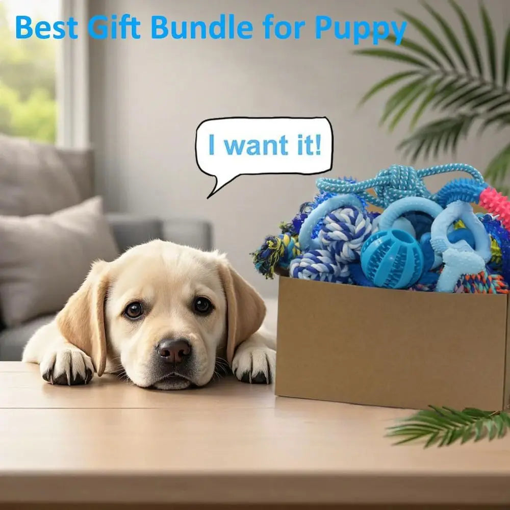 Cute 20 Pack Puppy Chew Toys - Blue Dog Teething Toys- Teething Rings/Ropes-Rubber Toy Bundle for Small Dogs-Dog Toys