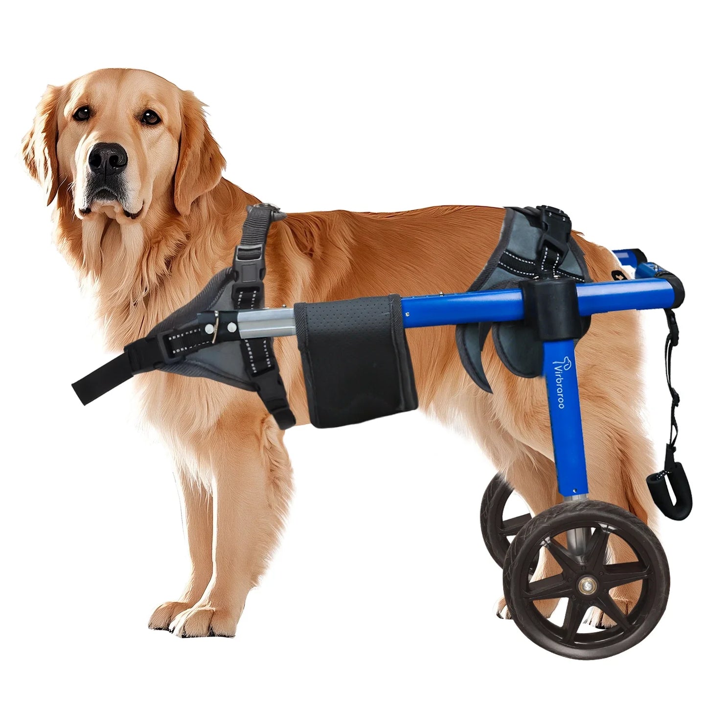 Dog Wheelchair For Back Legs Dog Wheelchair With All-Terrain Tires- Durable Bearings- Wheelchair For Back Legs