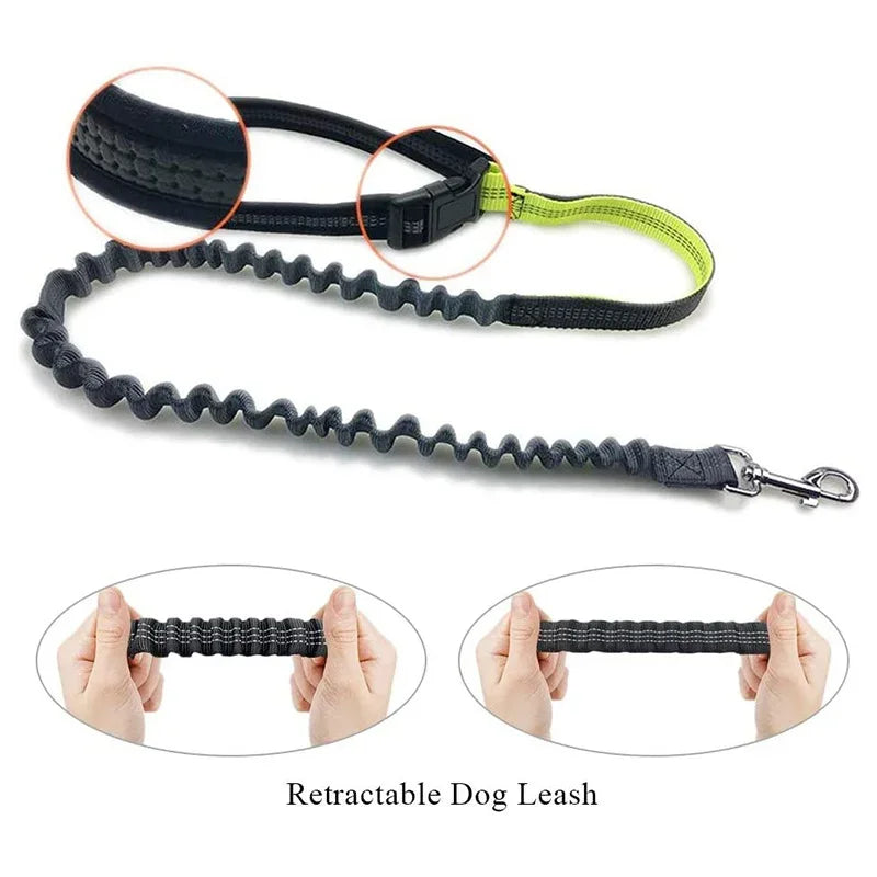 Hands Free Dog Leash with Zipper Pouch- Reflective Bungee for Medium Dogs- Walking Jogging and Running