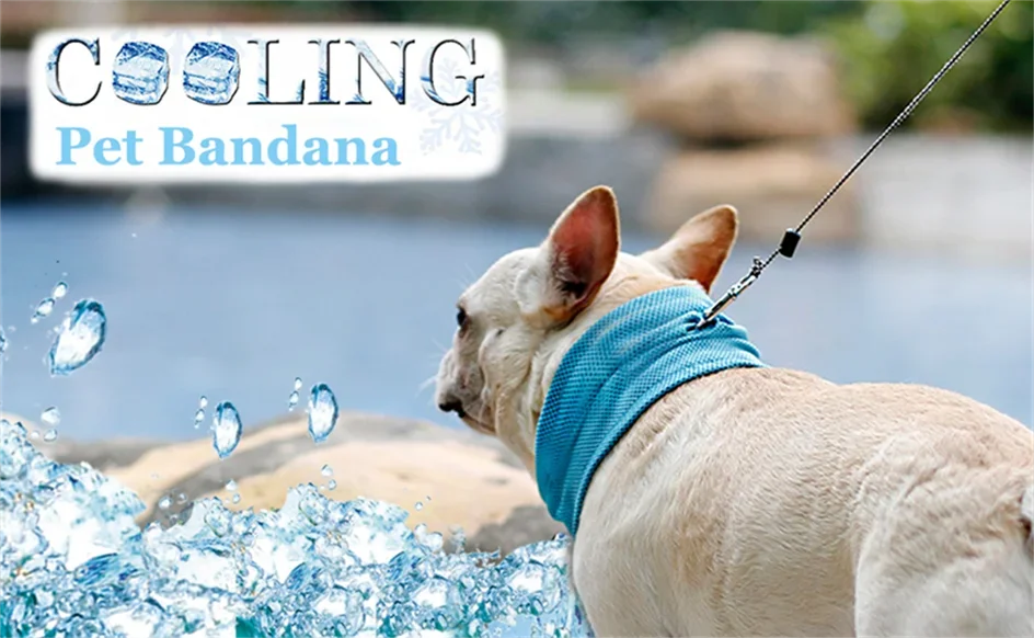Summer Ice Dog Collar- Reusable Physical Instant Cooling Bandana with Leash- Holes Prevent Heat Stroke- Outdoor Breathable Pet Scarf