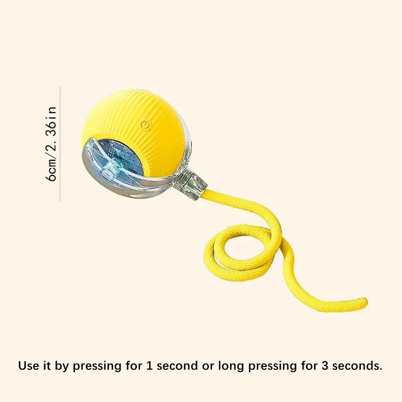 Smart Dog Toy Ball -Electronic Interactive Pet Toy - USB Automatic Moving Bouncing Ball