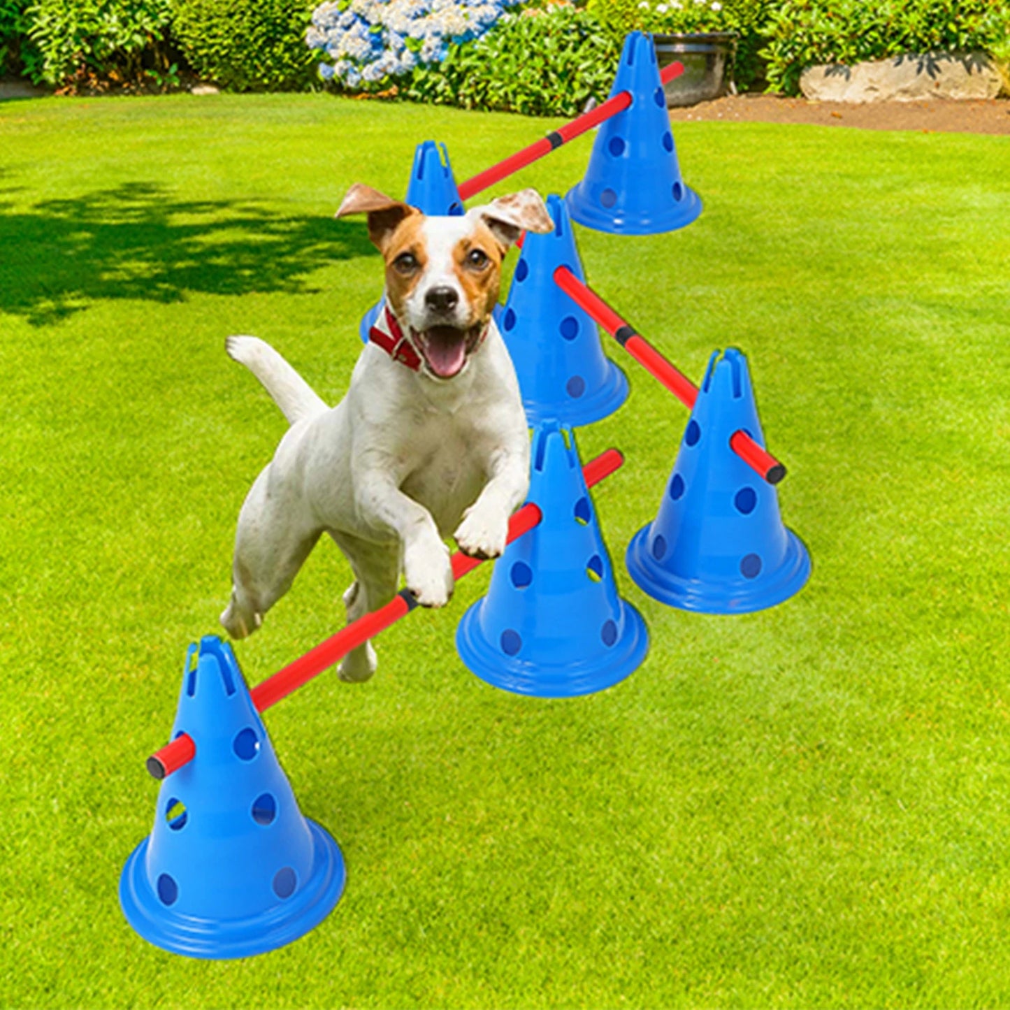 Dog Agility Hurdle Cone Set- Dog Agility Course- Backyard Set Includes 12 Agility Cones -6 Agility Rods Training Equipment
