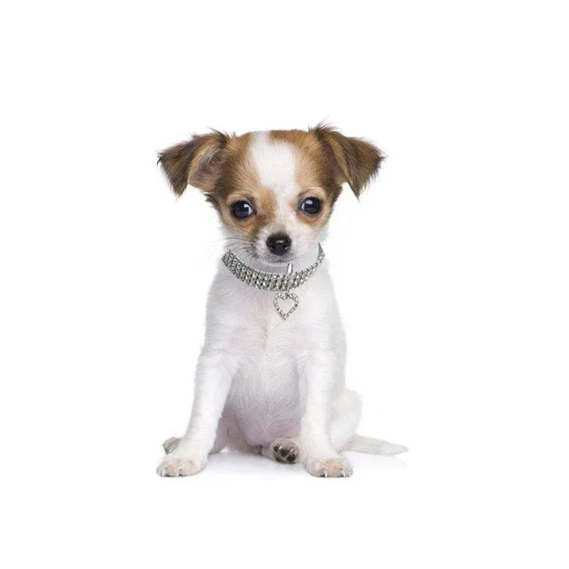 Bling Rhinestone Dog Collar- Crystal Dog Collars Leash For Small Medium Dogs