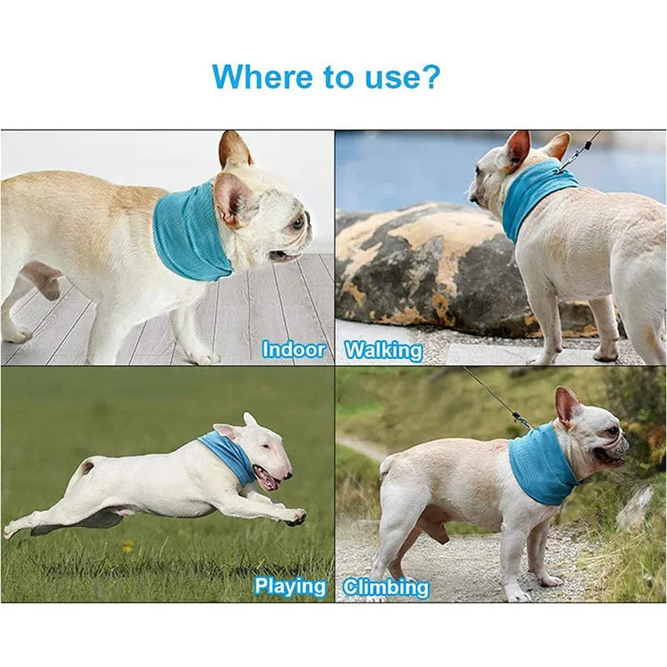 Summer Ice Dog Collar- Reusable Physical Instant Cooling Bandana with Leash- Holes Prevent Heat Stroke- Outdoor Breathable Pet Scarf