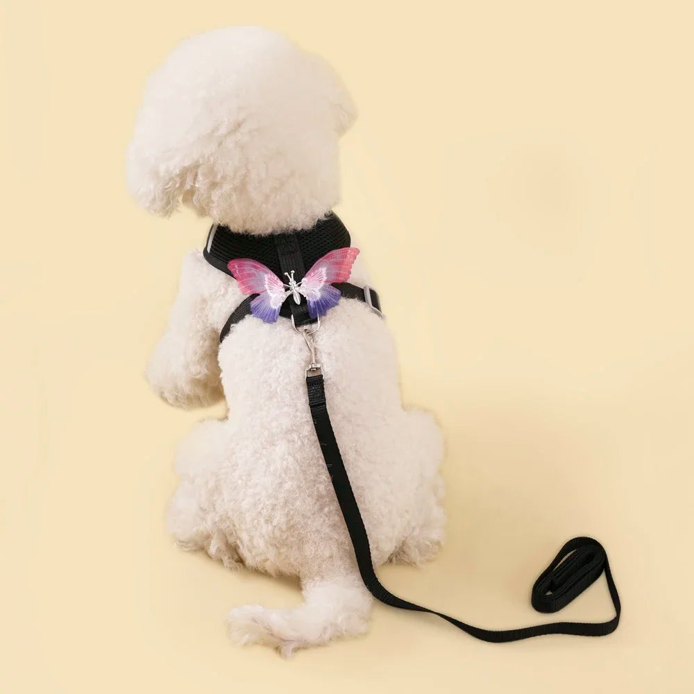 Cute Butterfly Breathable Dog Harness Set for Small Dogs- Vest-Leash