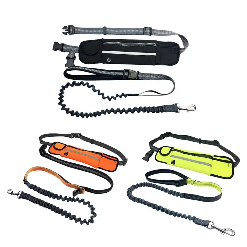Hands Free Dog Leash with Zipper Pouch- Reflective Bungee for Medium Dogs- Walking Jogging and Running