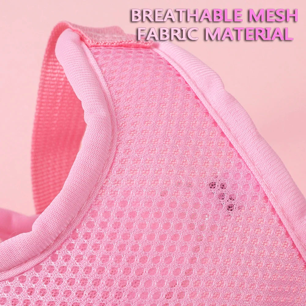 Cute Butterfly Breathable Dog Harness Set for Small Dogs- Vest-Leash