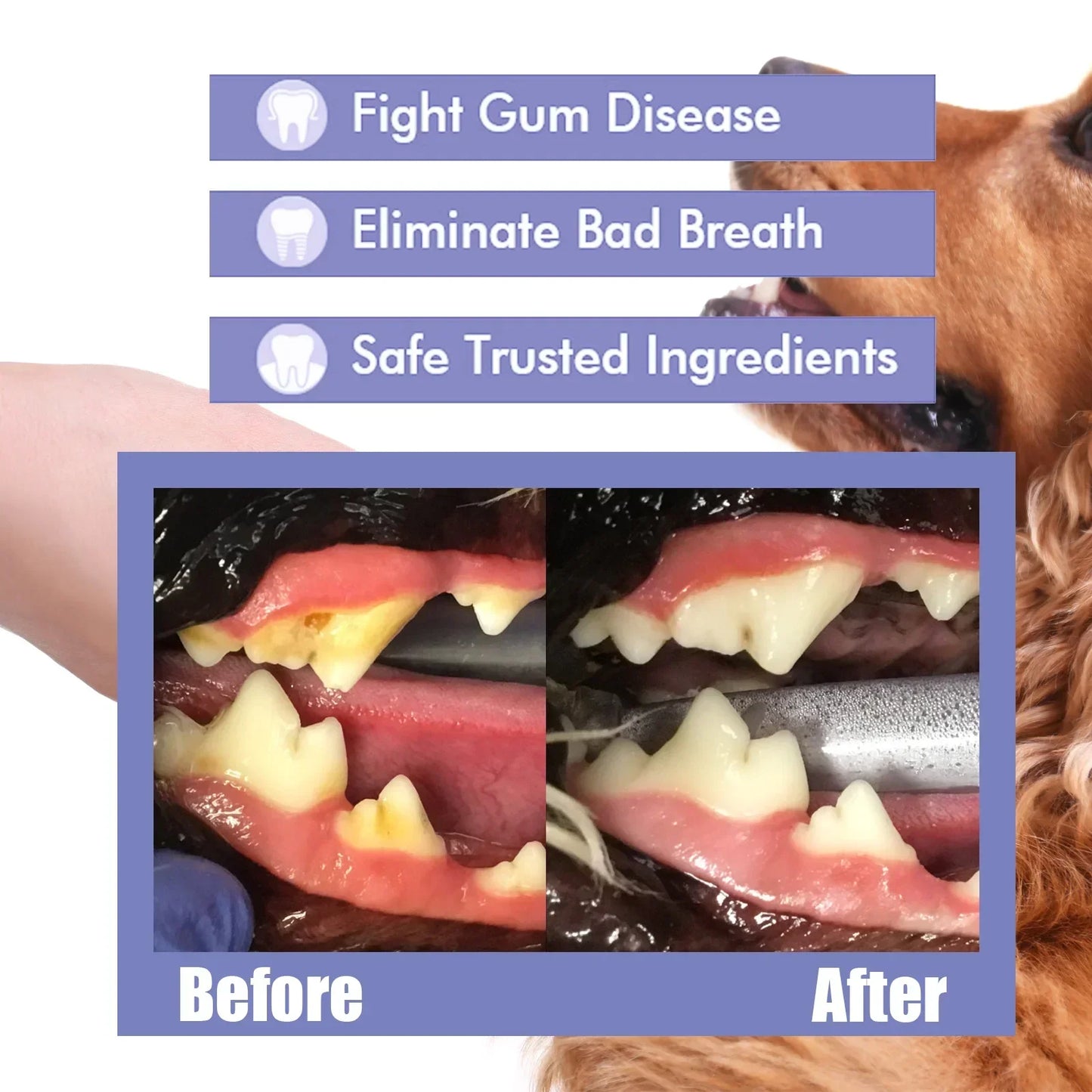 Pet Tooth Cleaning Spray Dogs- Bad Breath Freshener- Oral Cleaning Dental Care Deodorization Spray 30ml