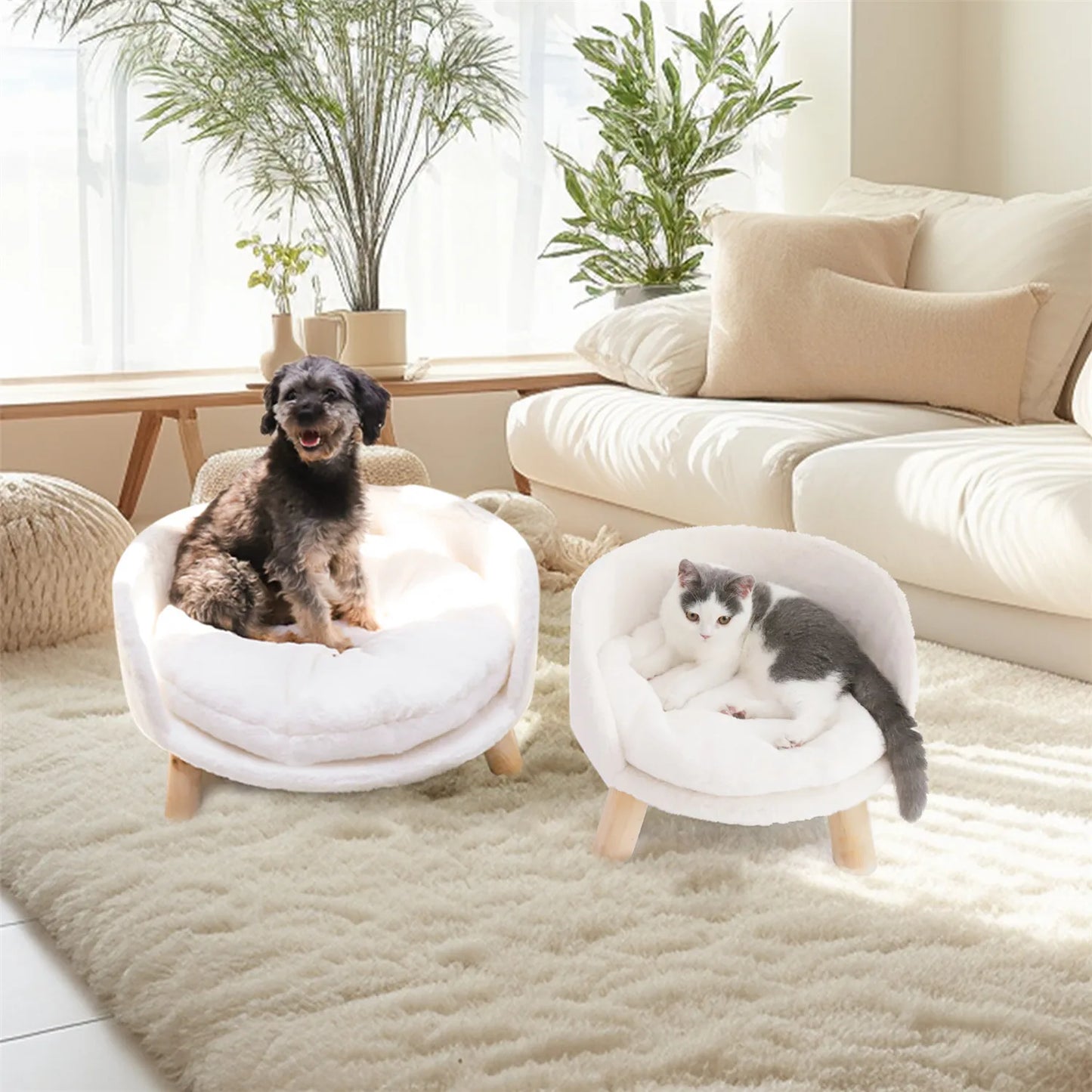 Pet Sofa Bed- Raised Chair- Small Dog Couch Bed -Removable Cushion- Sleep House