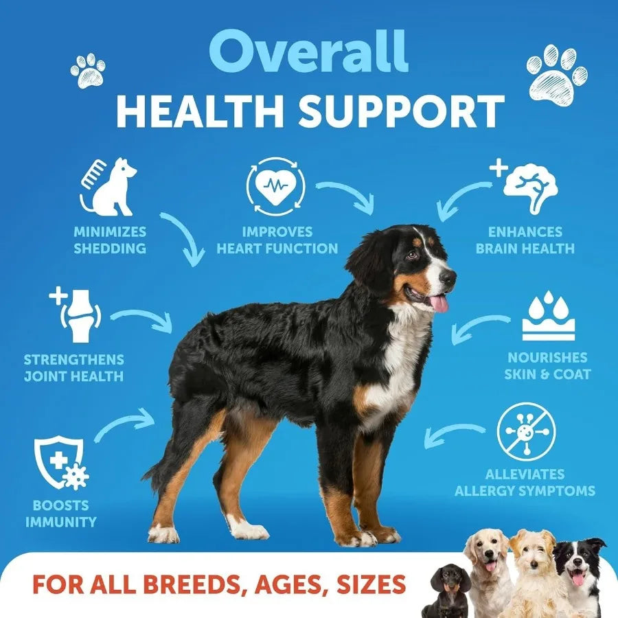 Omega 3 Fish Oil for Dogs Better Than Salmon Oil Skin and Coat Defense Liquid Supplement for Allergy Relief High EPA DHA