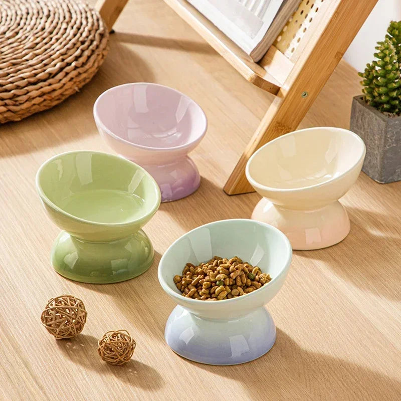 Tilted Puppy Food Feeders- Gradient Ceramic- Raised Eating Pet Dogs Drinking or Feeding- Small