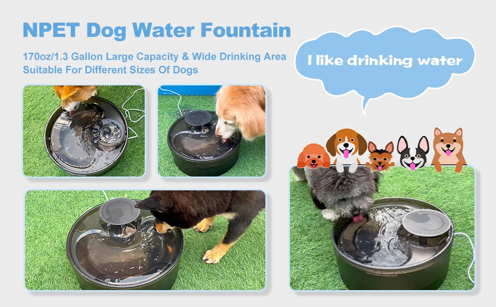 NPET DF10 Dog Water Fountain, 170oz/1.3Gallon/5L Large Automatic Pet Water Dispenser Dog Water Bowl for Cats, Dogs, Multiple Pets