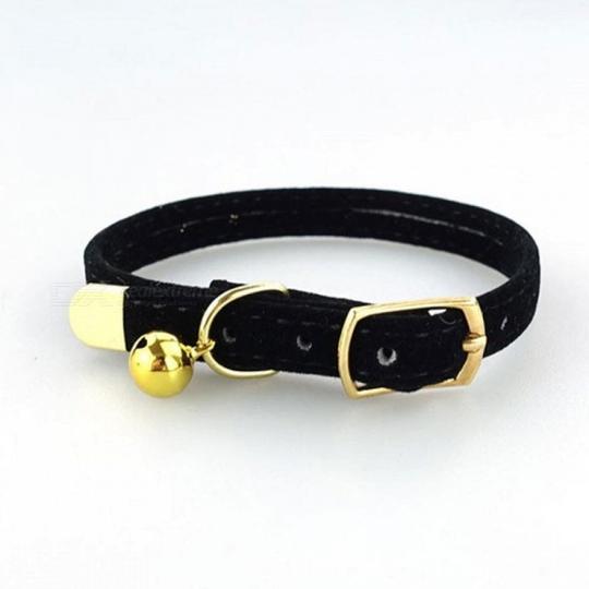 Collars/Leashes