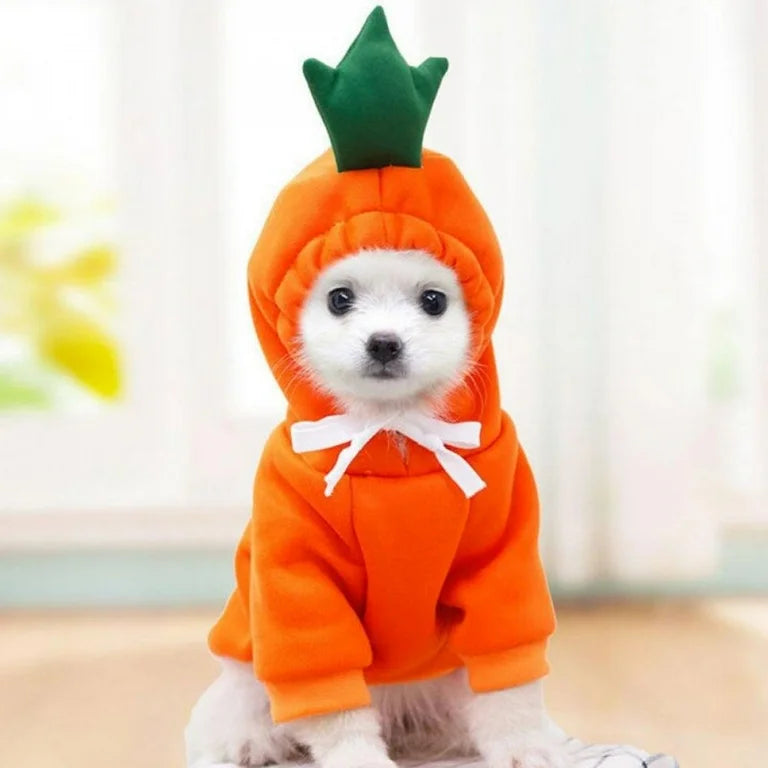 Costumes/Apparel