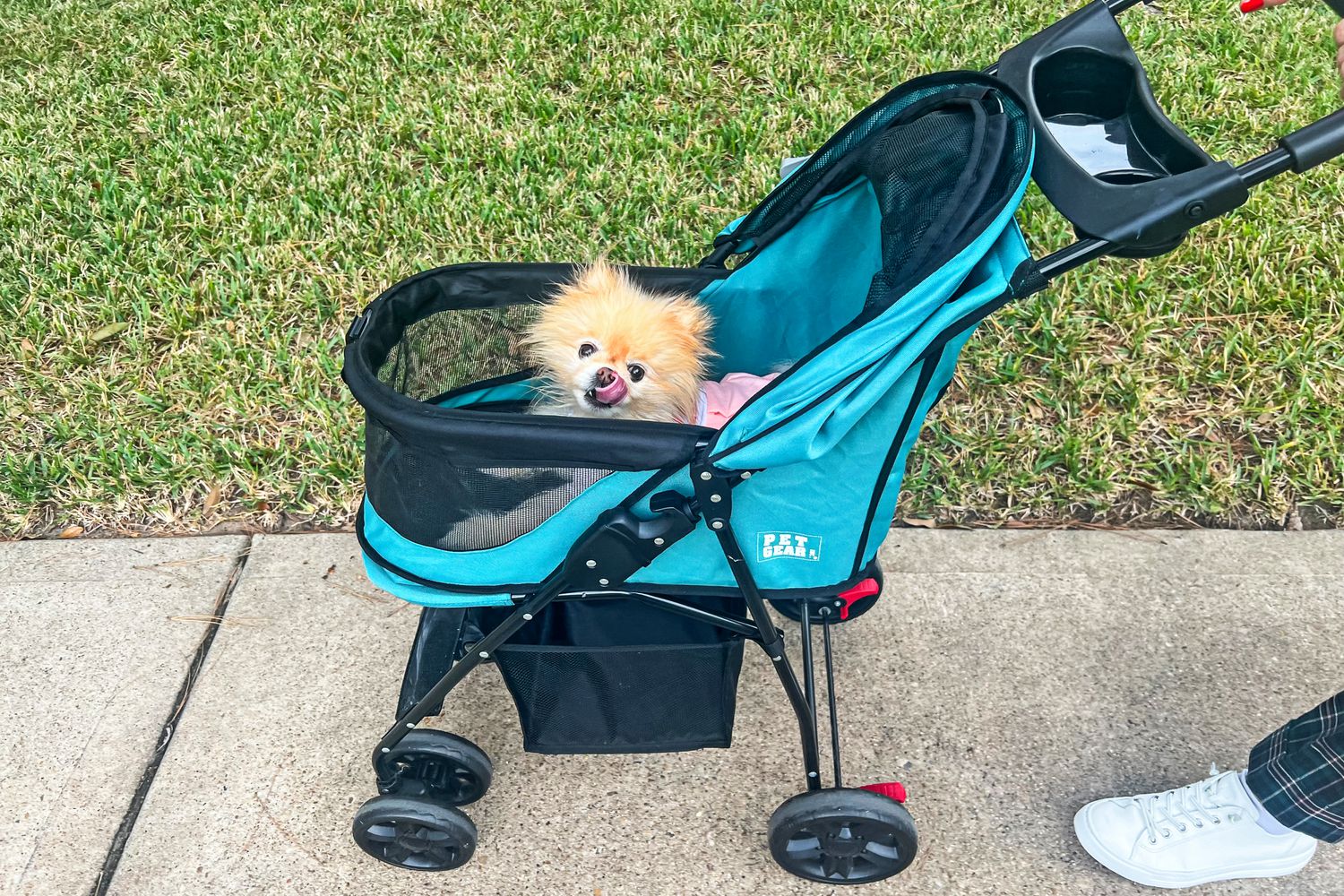 Pet Strollers