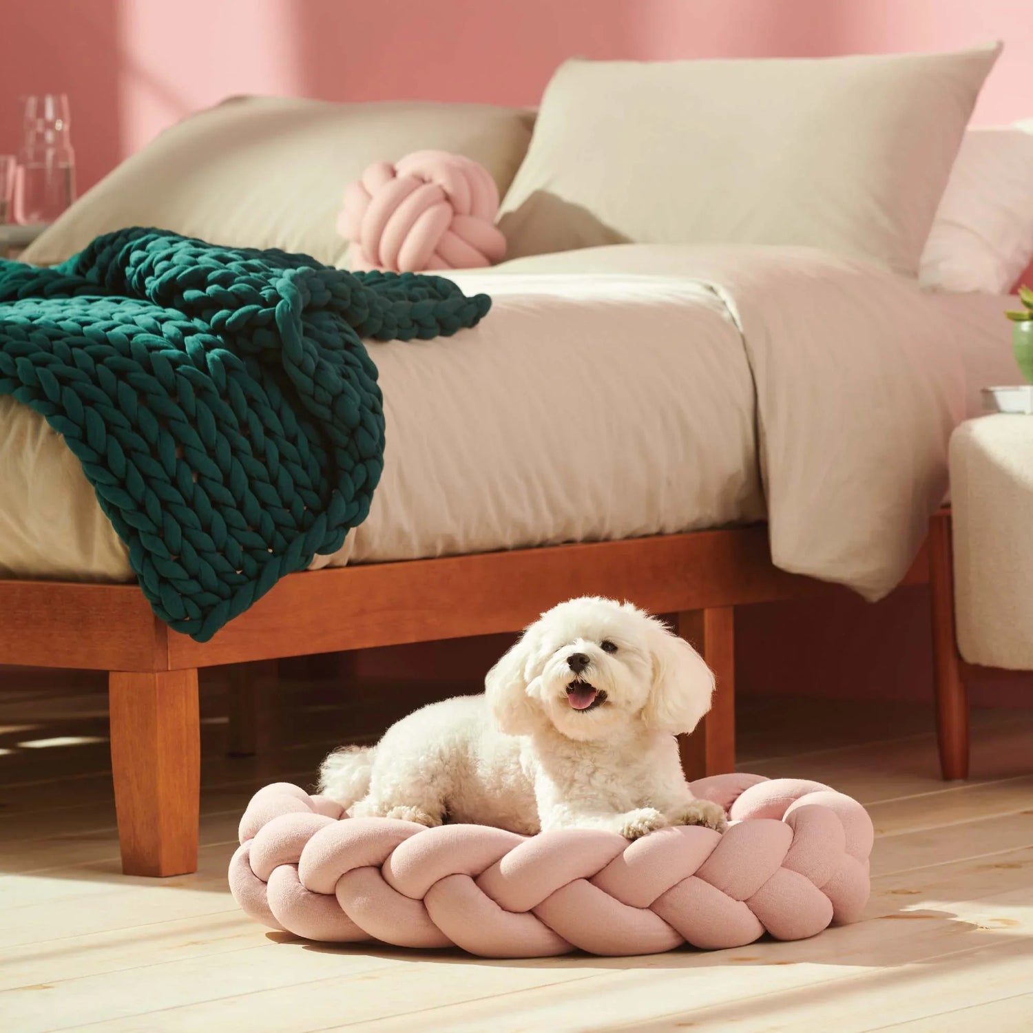 Beds & Blankets