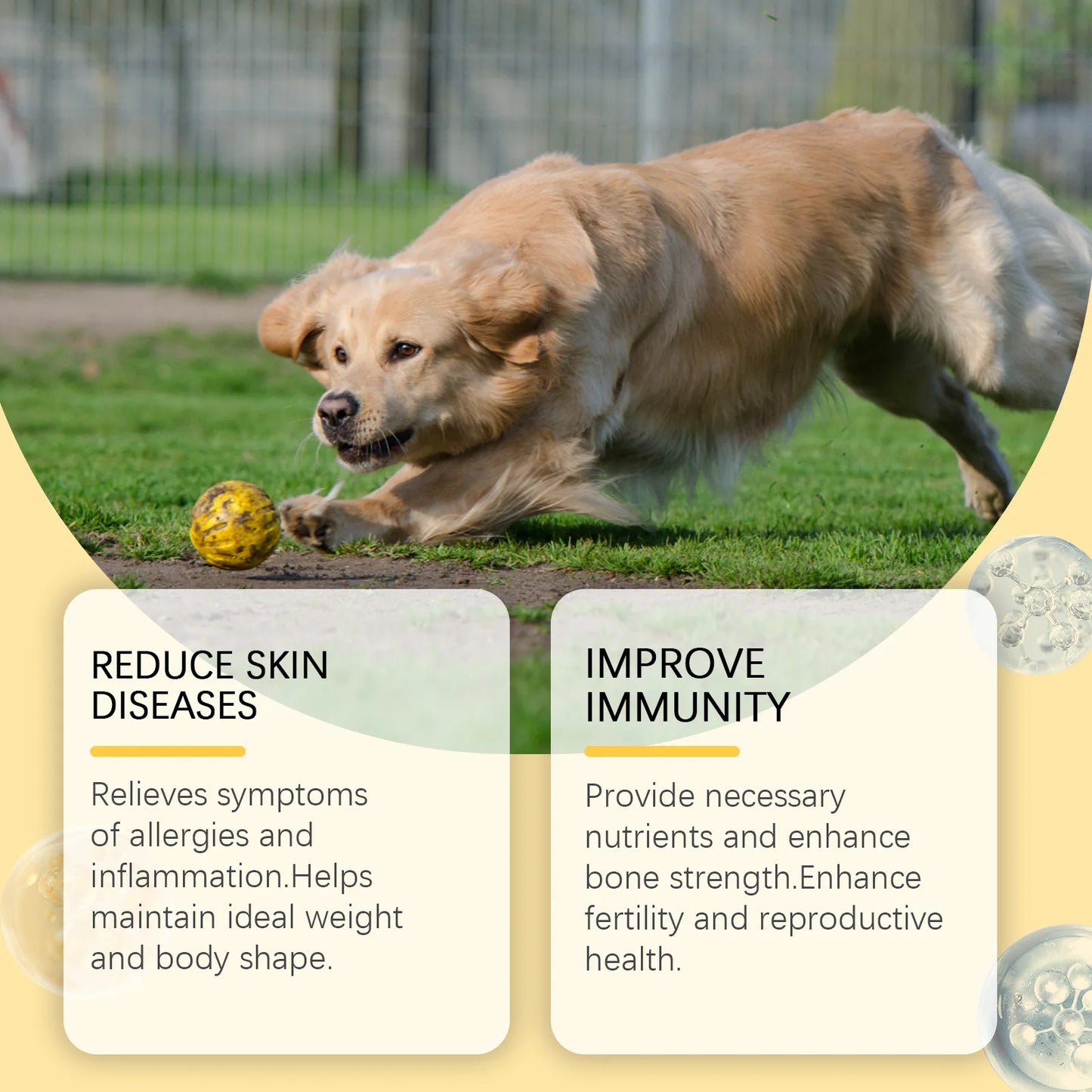 60pcs Omega-3 Fish Oil Tablets for Dogs- Skin Care Nutrition Supplement Relieve Dry Itchy Skin- Nourish Fur- Enhance Bone-Pet Grooming