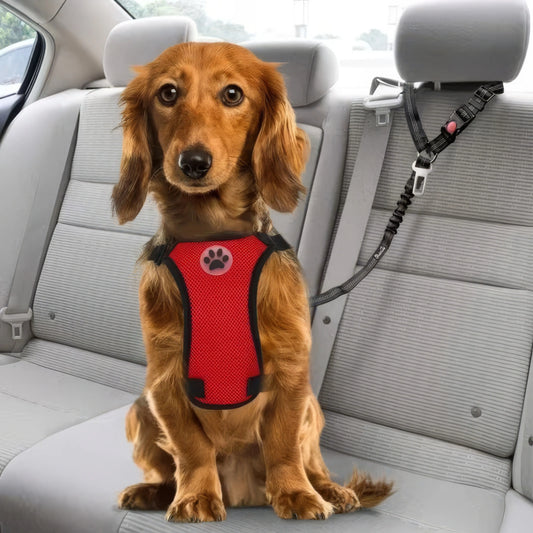 1 Black Pet Car Safety Belt- Adjustable Car Strap- Durable/Easy To Use- Suitable for SUVs, Cars, Trucks- Collars/Leashes