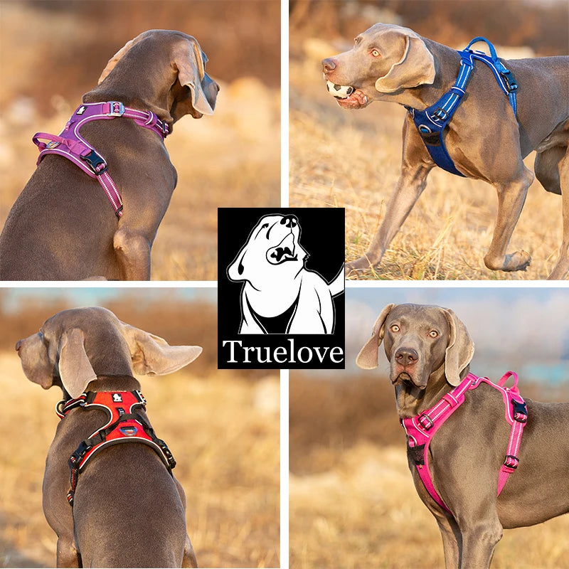 Truelove Pet Reflective Nylon Dog Harness- No Pull Adjustable- Size XS-XL- Naughty Dog Vest-Collars/Leashes