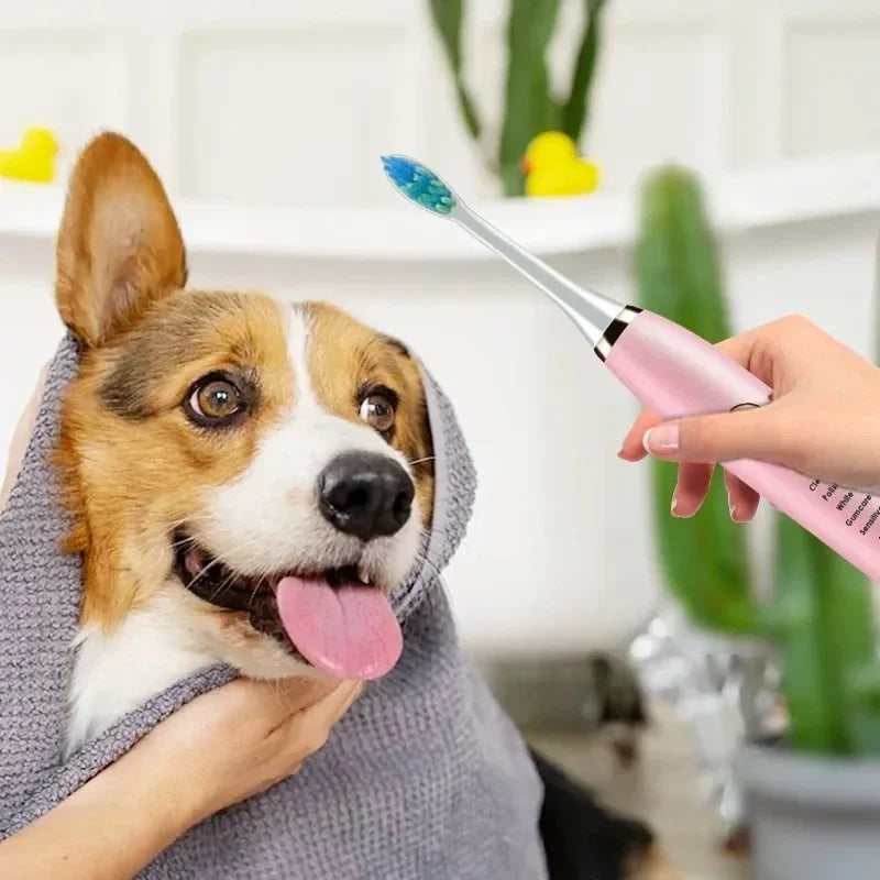 USB Electric Pet Replacement Rechargeable Toothbrush Electric Dog Cleaning Cat Brush with Tool Head