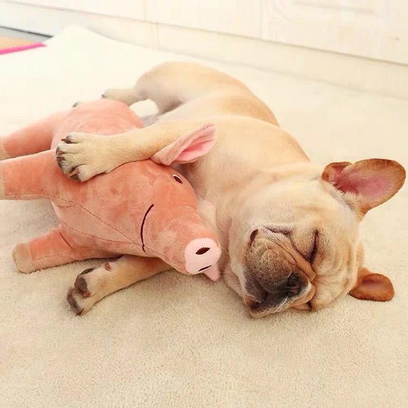 Plush Pig Toy for Small Dogs- Dog Accompanying Sleeping Toys-Dog Toys