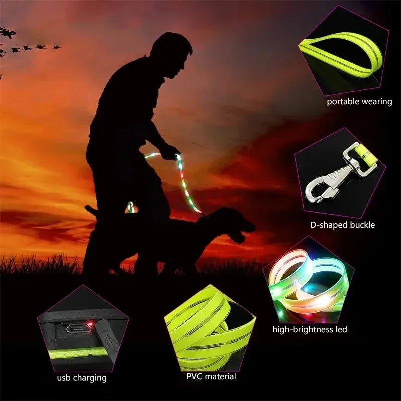 LED Light-Up Dog Leash- Walking- Safety- Glow in The Dark- USB Rechargeable- Adjustable- for Large Medium Small Pet Lighted Dog Collar