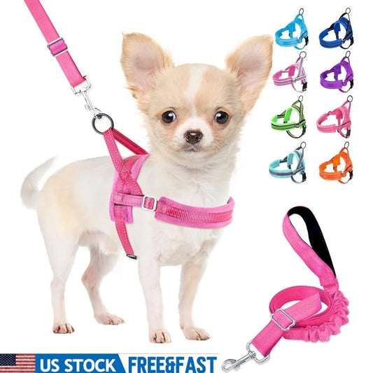 Soft Padded Dog Harness Leash Set -Adjustable Reflective Vest Small Dogs- Quick Fit Neck Chest Safe- Walking 4ft Leash