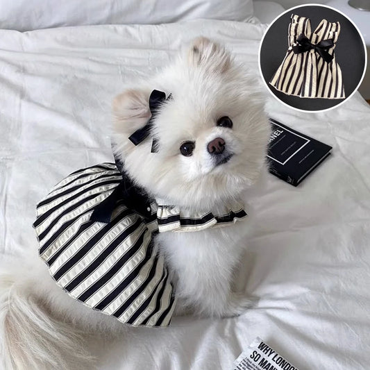 BLack/White Striped Dog Princess Dress-with Bow-Small Dogs-Costumes/Apparel