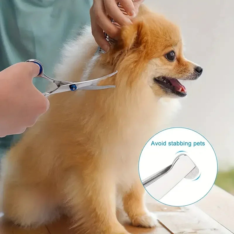 Ambidextrous Pet Safe Scissors- Stainless Steel Dog Grooming Shears with round Head for Precision Trimming-Pet Grooming