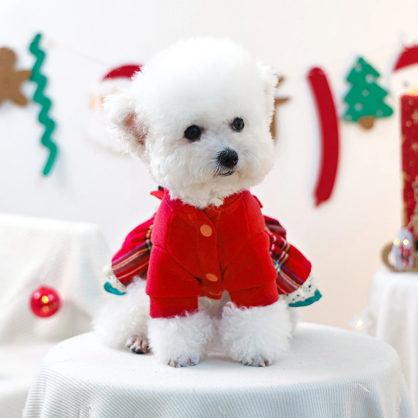 Cute Christmas Dog Dress with Santa Hat/ Jingle Bell Collar- Festive Pet Holiday Outfit for Small Dogs-Costumes/Apparel