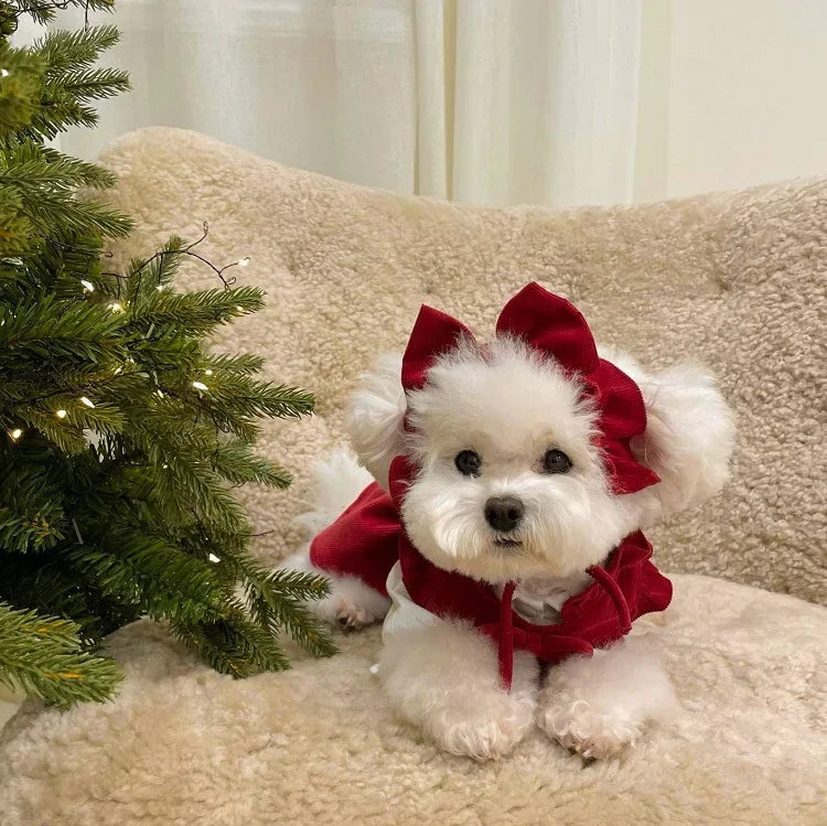 Christmas Princess Dress- Bow Knot -Winter Warm Dog Clothes
