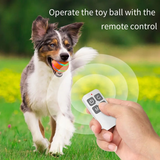 Interactive Dog Chew Toy Ball-  USB Rechargeable Electric Pet Toy With LED Light