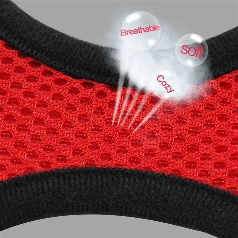 Dog Harness Walking Lead Leash-Polyester- Adjustable Mesh-sizes S to XL-Collars/Leashes
