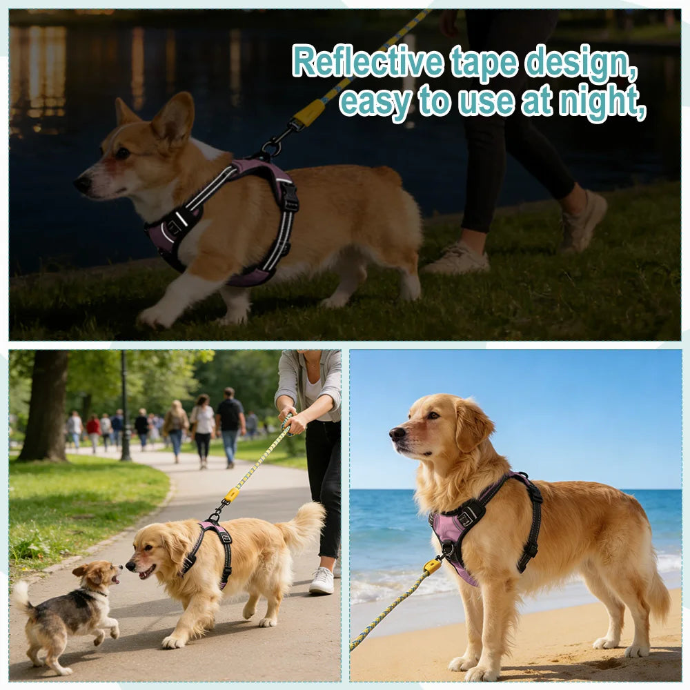 Pet Reflective Nylon Dog Collars Harness Vests Leash- Adjustable- Suitable for Small, Medium/Large Dogs-Collars/Leashes