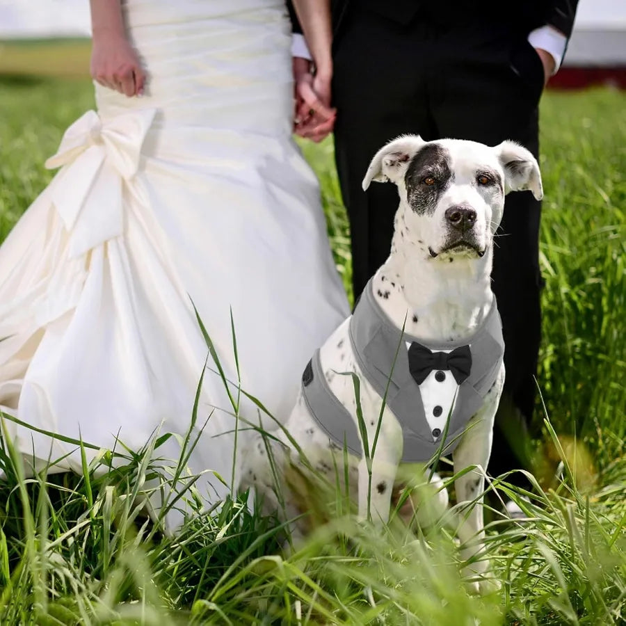 Adjustable Tuxedo Dog Harness for Small and Medium Dogs with No-Pull Design- Elegant Wedding Suit- Sizes 2XS to L-Costume/Apparel