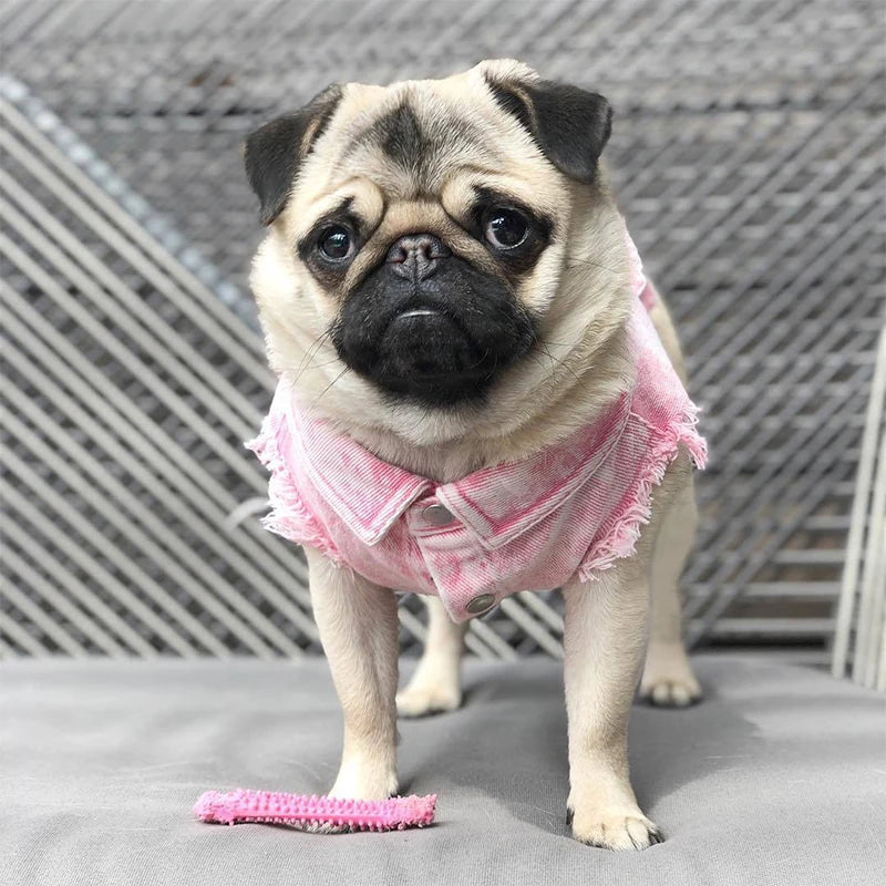 Dog Denim Vest Jacket-Sizes S-3XL-Costumes/Apparel
