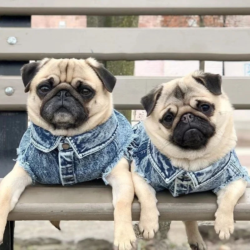 Dog Denim Vest Jacket-Sizes S-3XL-Costumes/Apparel