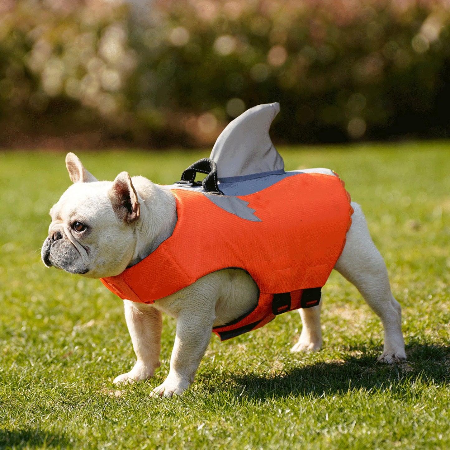 Dog Life Jacket- High Buoyancy -Dog Safety Vest with Rescue Handle-Sizes XS to XXL-Reflective- Swim Vest-Training