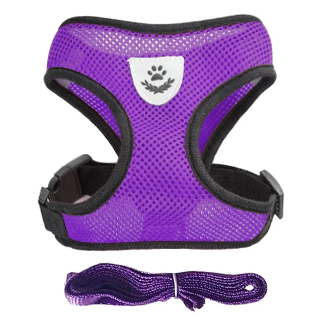 Dog Harness Walking Lead Leash-Polyester- Adjustable Mesh-sizes S to XL-Collars/Leashes