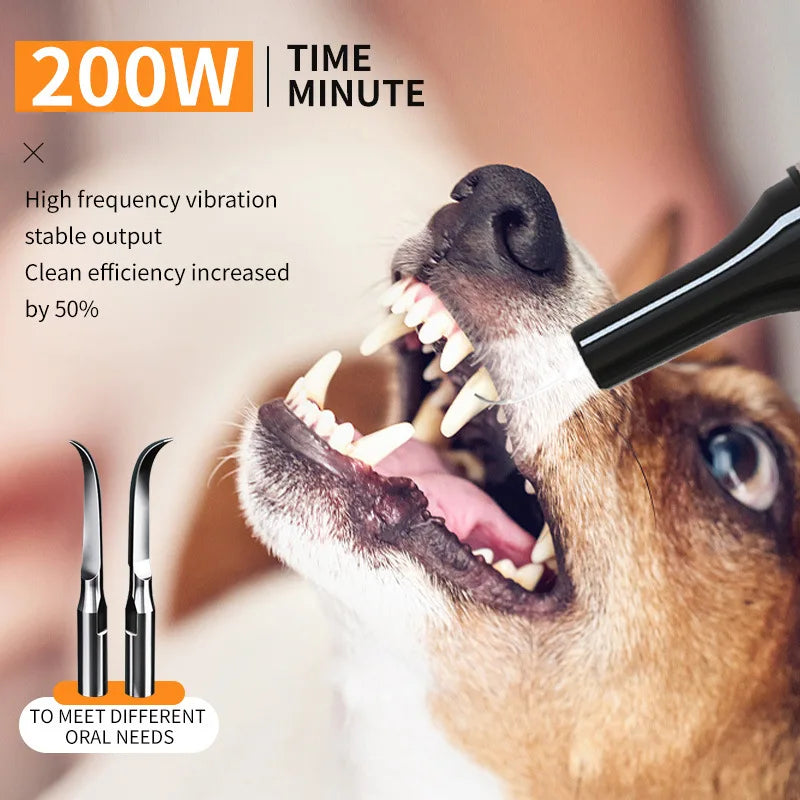 Ultrasonic Portable Electric Dog Toothbrush- Professional Plaque Calculus Removal- Teeth Whitening for Pet Dental Care-Pet Grooming