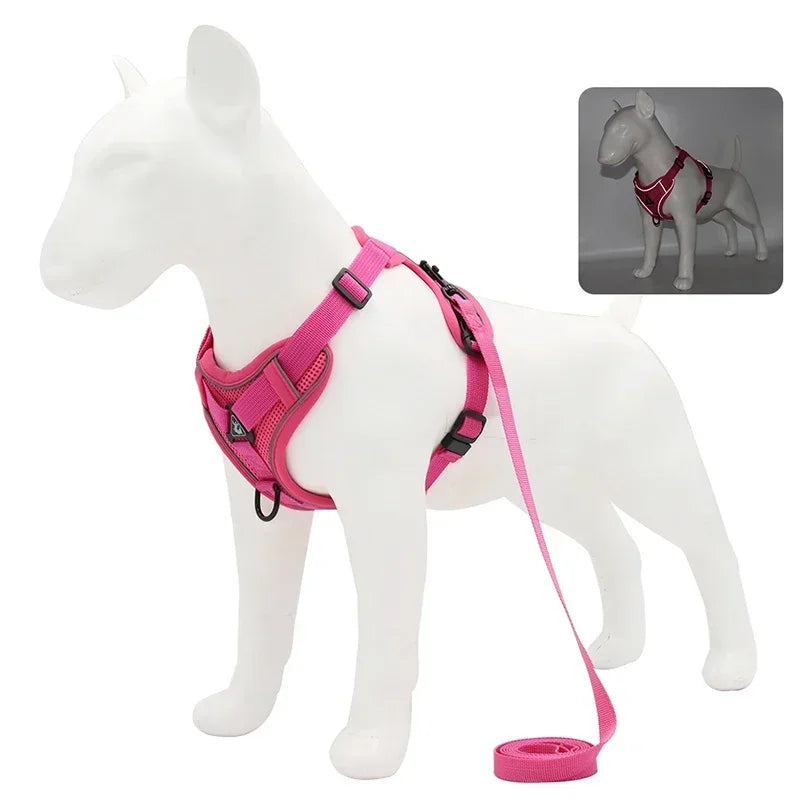 No Pull Dog Harness and Leash Set -Adjustable- Harness Vest- Sizes S to XL-Collars/Leashes