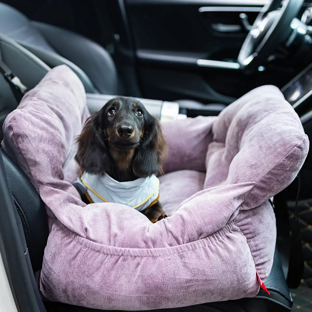 2-in-1 Dog Car Seat/ Carrier Bag - Detachable with Handles and Safety Belt- Travel Dog Booster Seat for Small Medium Dogs Cats
