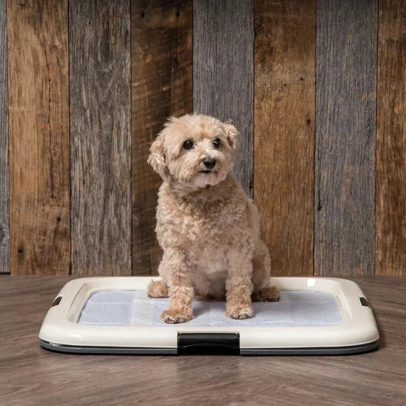 Dog Potty Pad Holder - Fits 23"L X 22.75"W Pads 1.37"H- For Puppy Housebreaking-Training