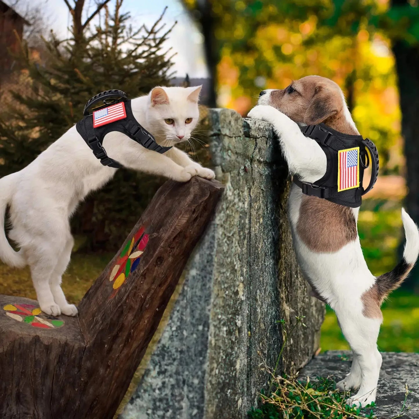 Tactical Puppy Harness Leash Set- For Small Dogs- Adjustable- Harnesses Vest For Training-Military-Collars/Leashes
