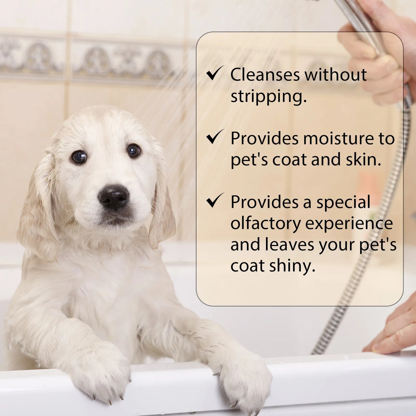 YEGBONG Dog Wash Shampoo- Flea & Mite Killer- Dirt Removal - Anti-Itch- Deodorizing & Moisturizing Formula for Softening Coat-Pet Grooming