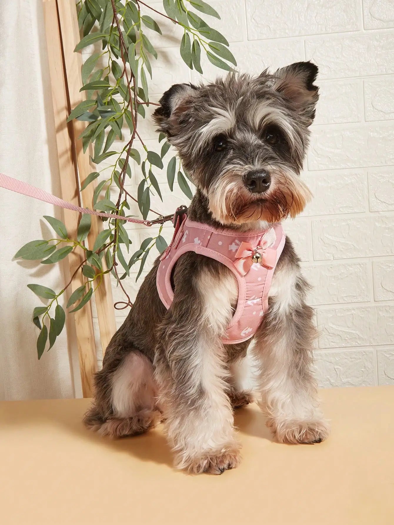 Dog Harness and Leash Set-No Pull- Soft Mesh Pet Harness- Adjustable-Sizes XS to XXL-Collars/Leashes