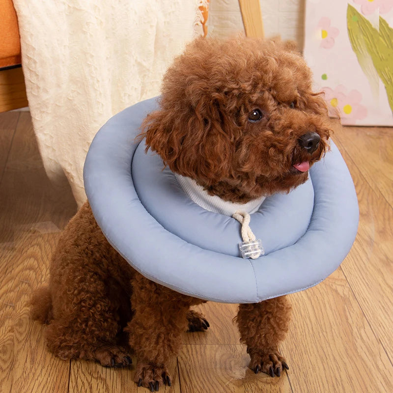 Wound Recovery Collar- Adjustable-Ring Collar- Prevent Licking-size S to XL-Collar/Leashes