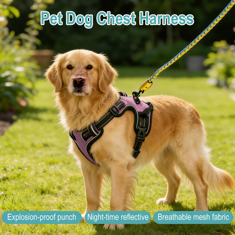 Pet Reflective Nylon Dog Collars Harness Vests Leash- Adjustable- Suitable for Small, Medium/Large Dogs-Collars/Leashes